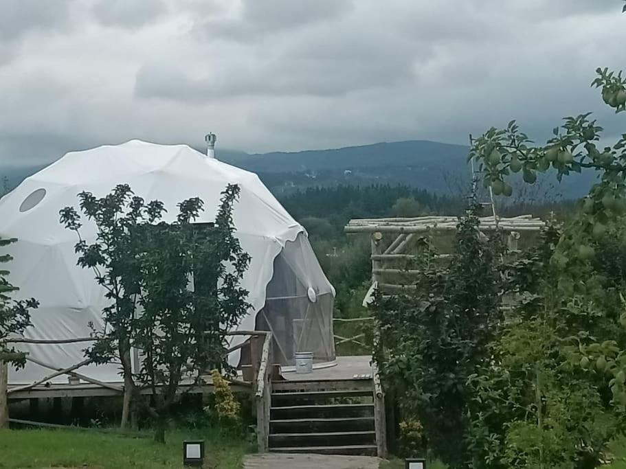 Sapanca Green Dome Eksteriør bilde